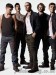 The Wanted 17